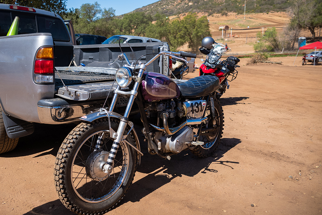 the grape ape triumph desert sled